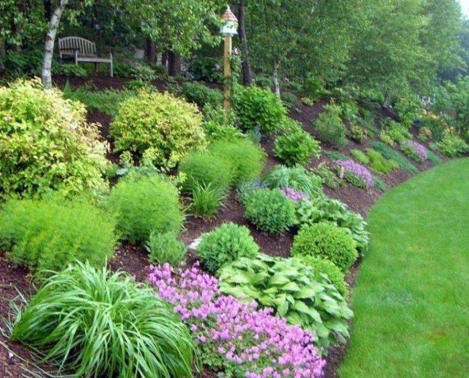 Hillside Landscaping