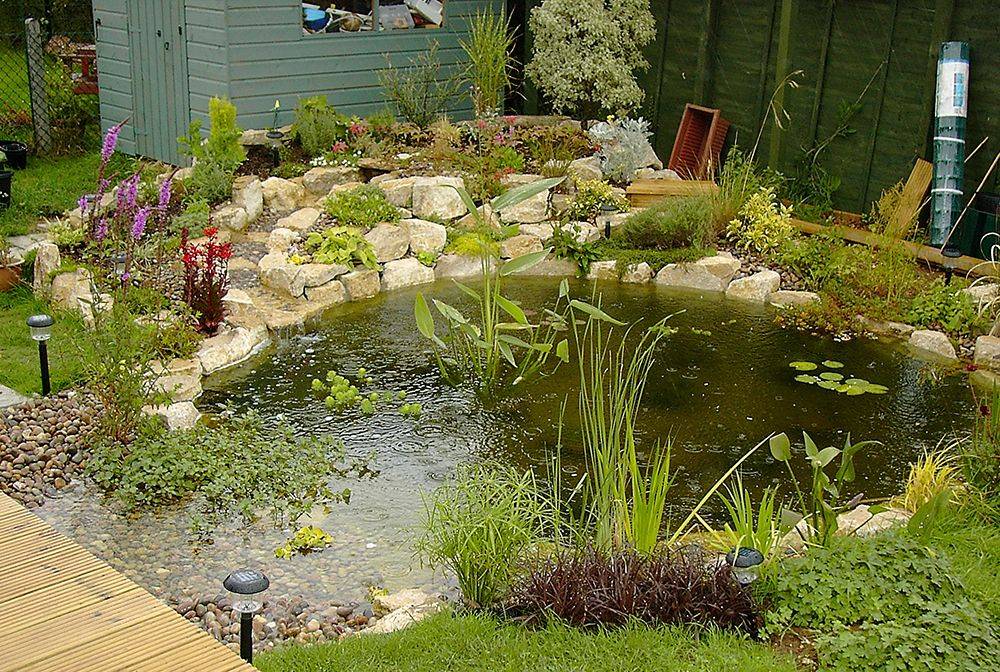 Aweinspiring Garden Ponds