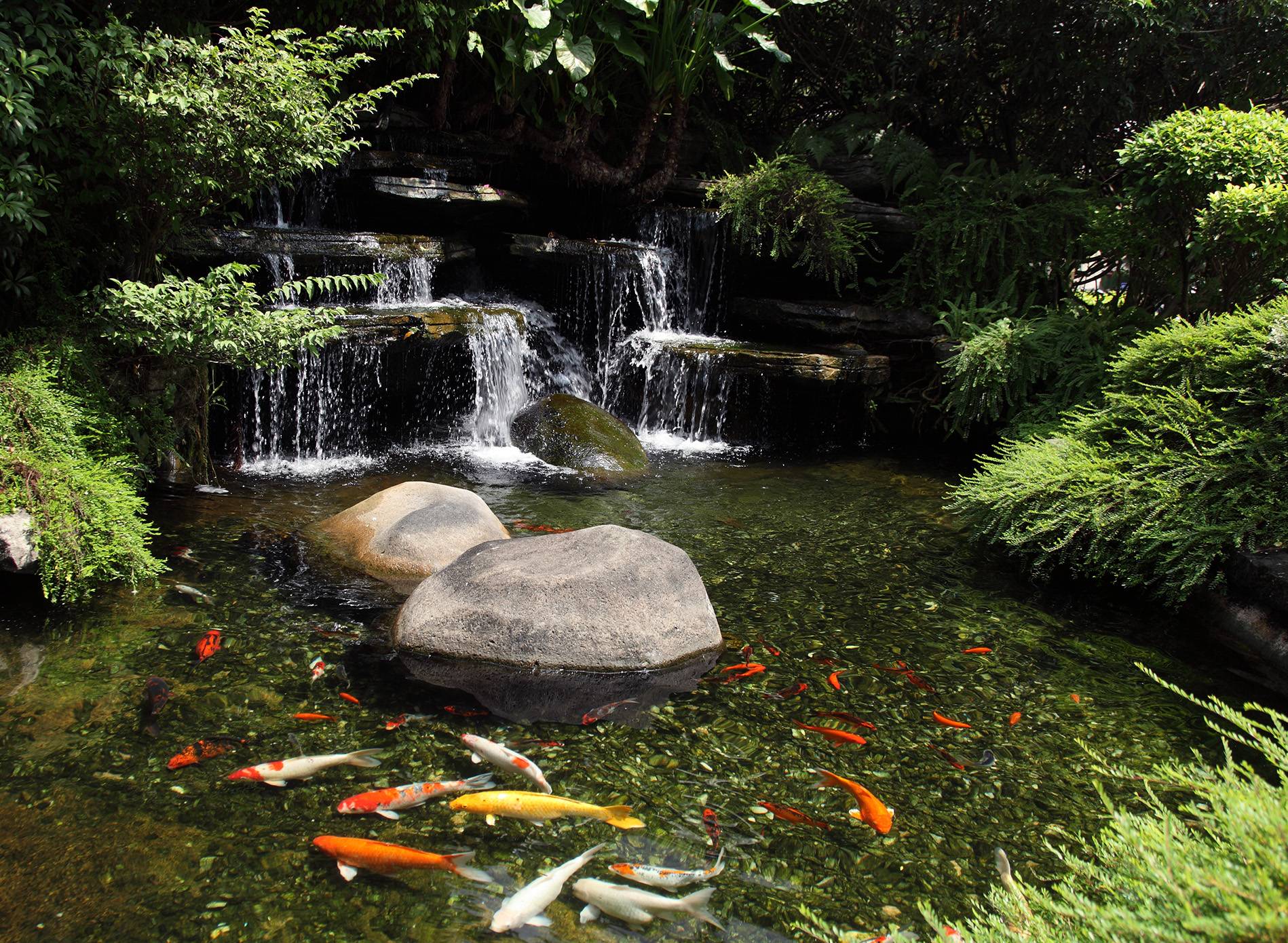 Diy Garden Pond Waterfall Ideas