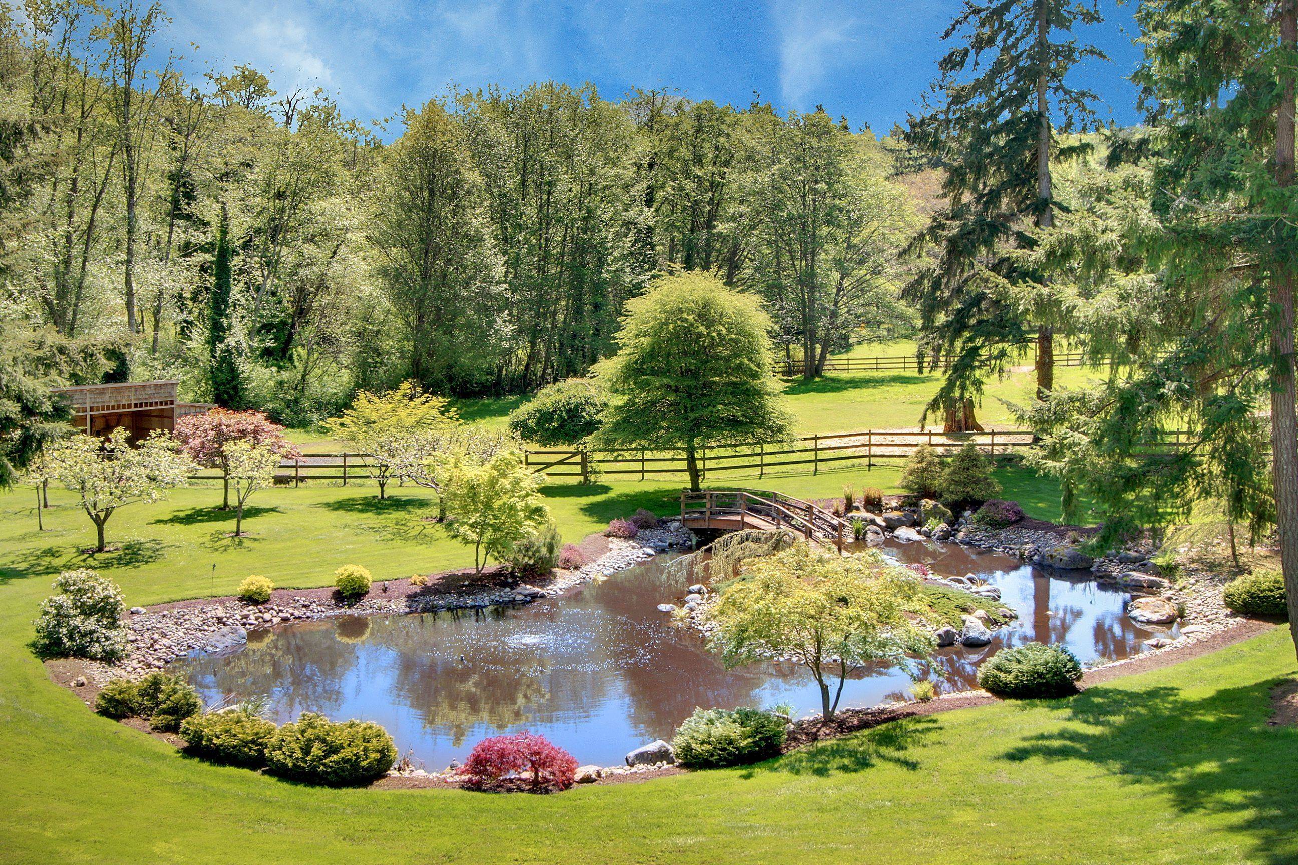 Backyard And Garden Pond Designs