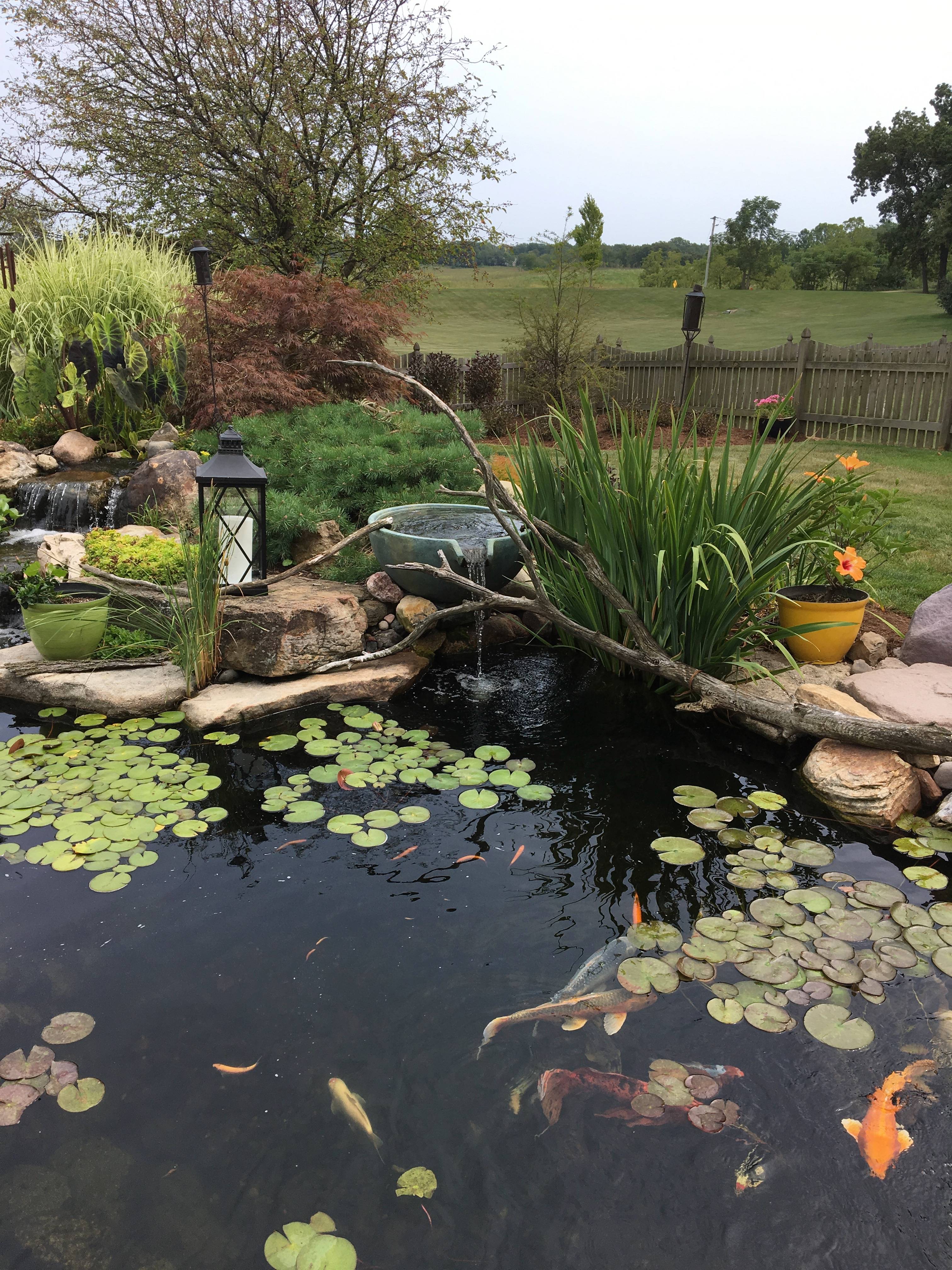 Large Garden Design
