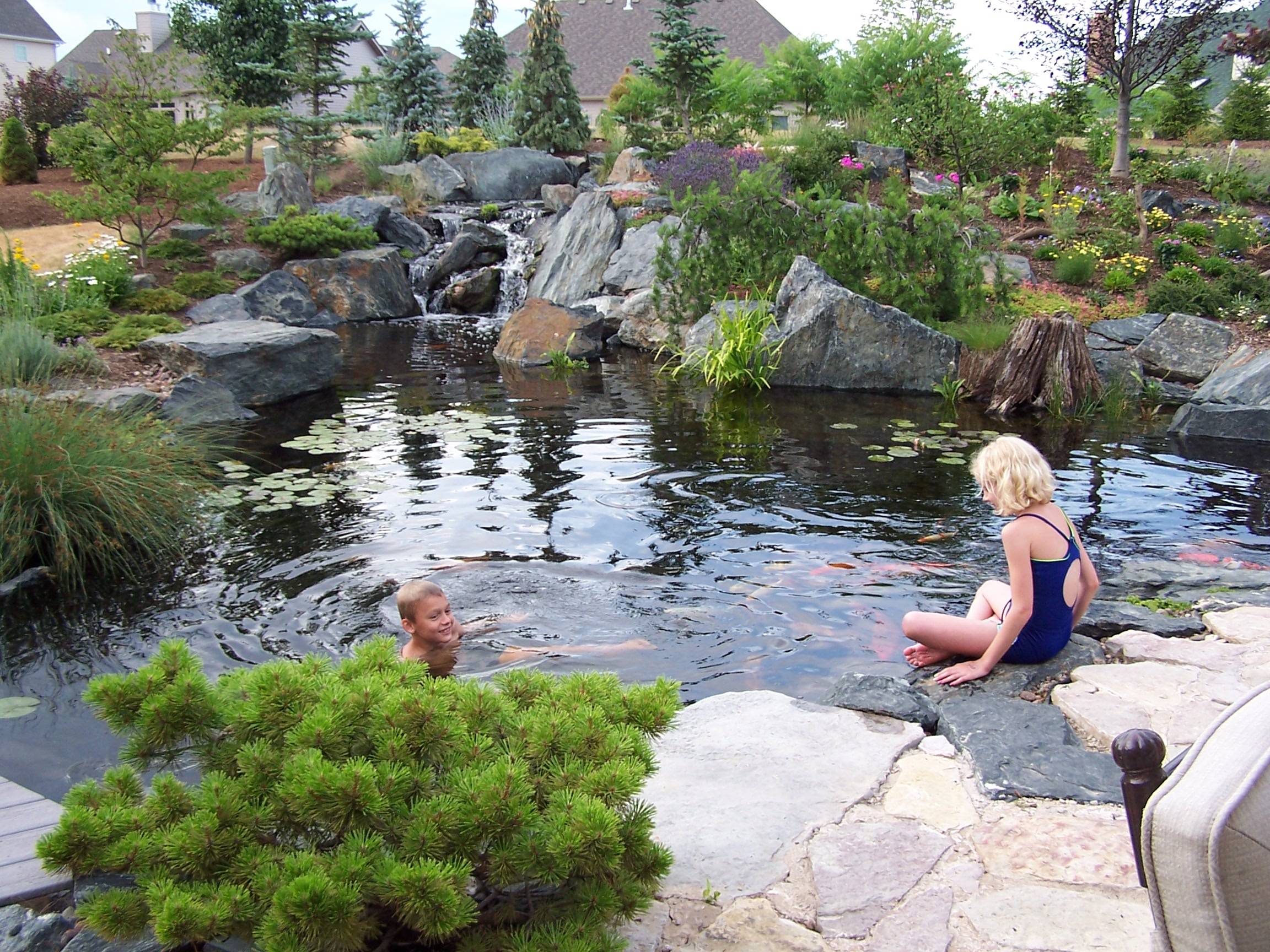 Natural Swimming Pool Pool Landscaping