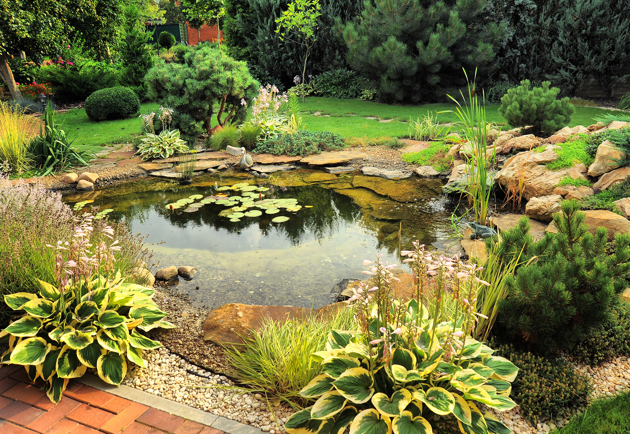 Pond Landscaping