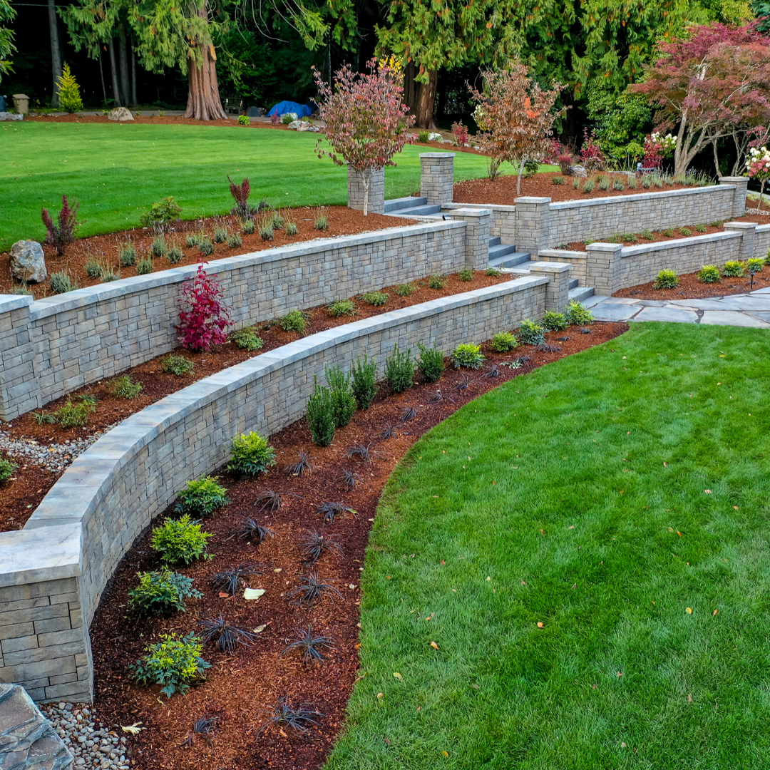 Tiered Backyard