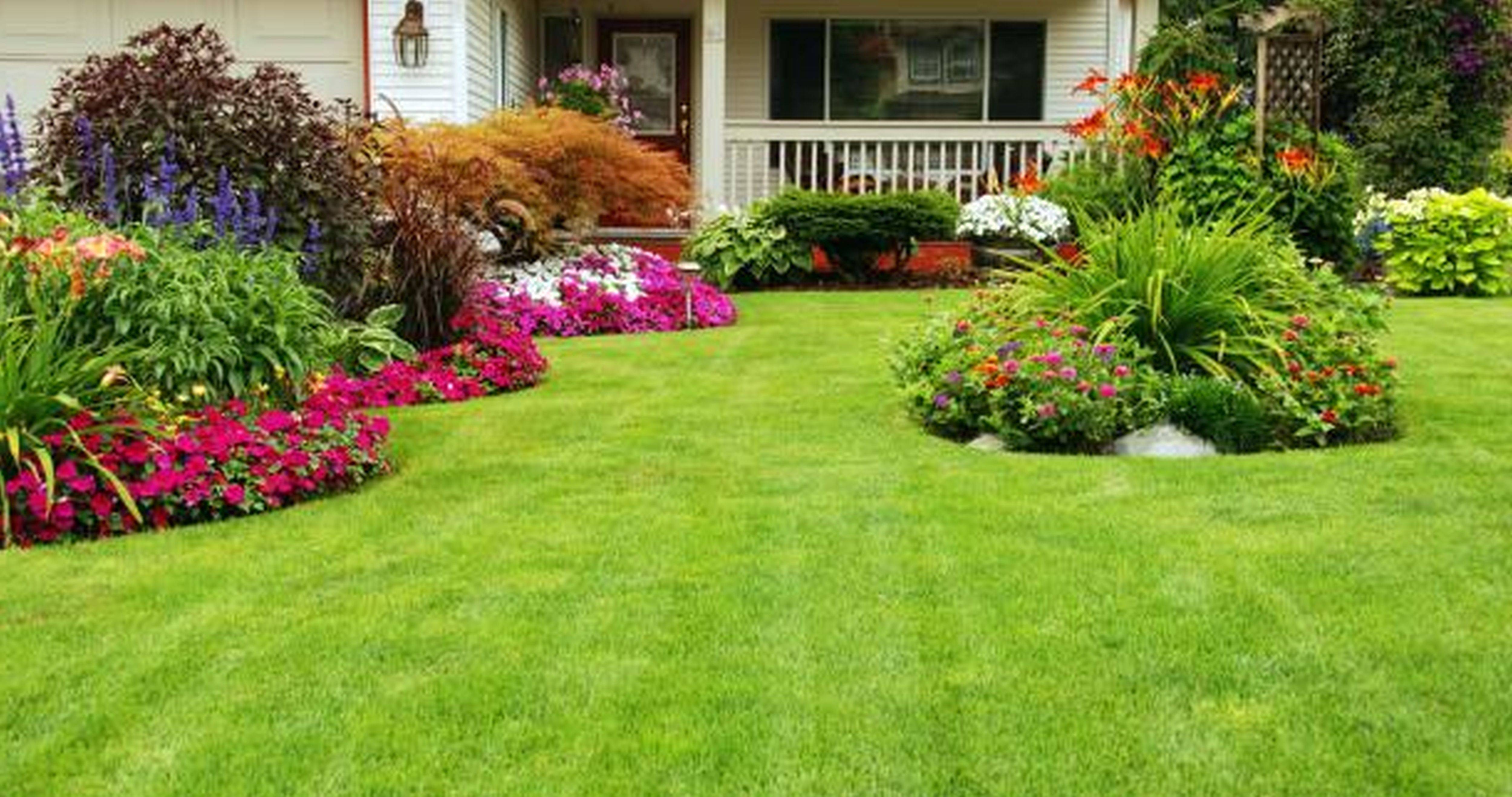 Shady Corner Landscaping Ideas