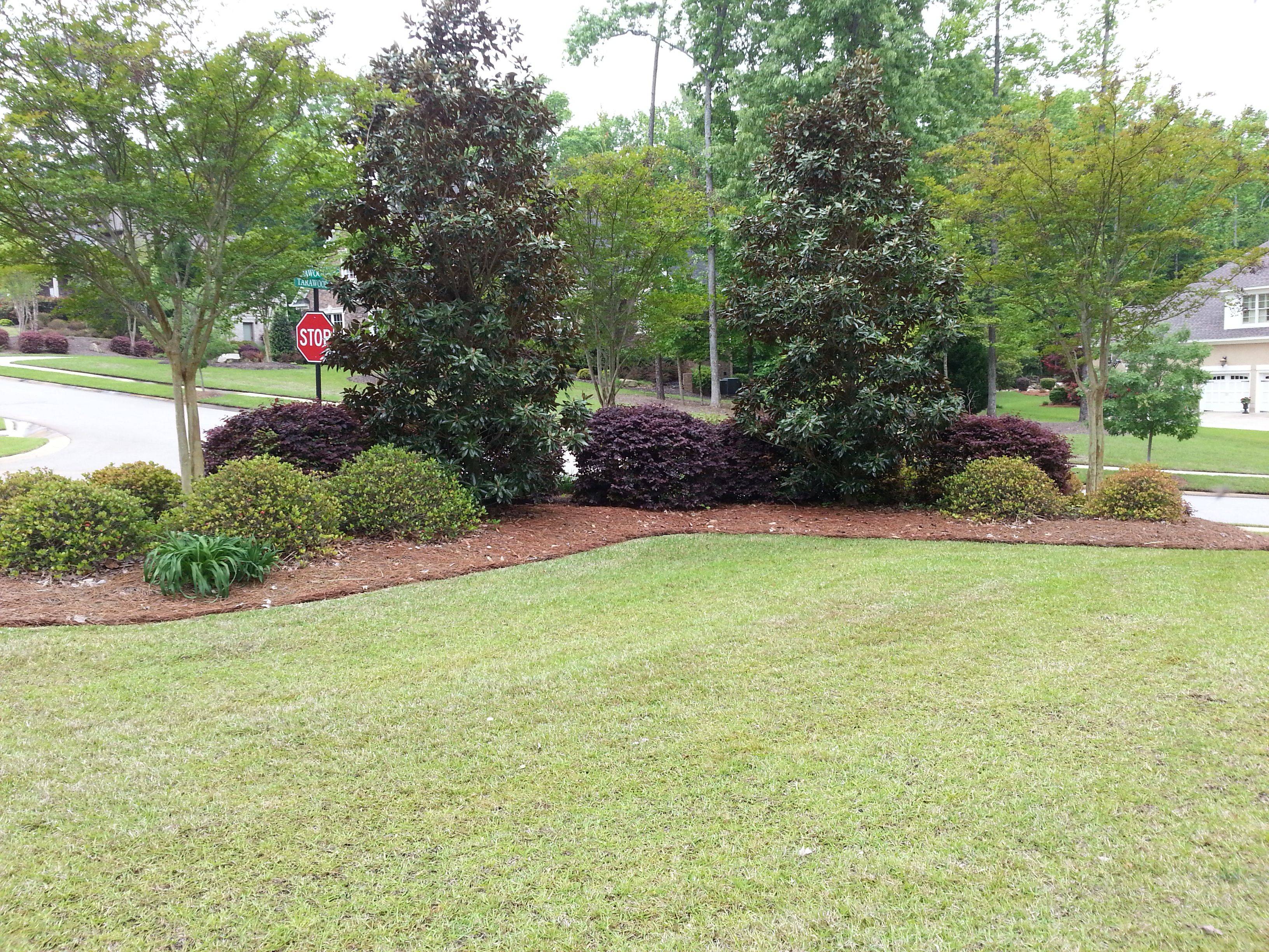Corner Fence Landscaping Ideas