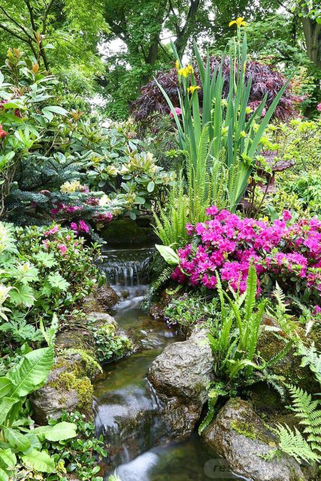 These Tropical Garden Design Ideas