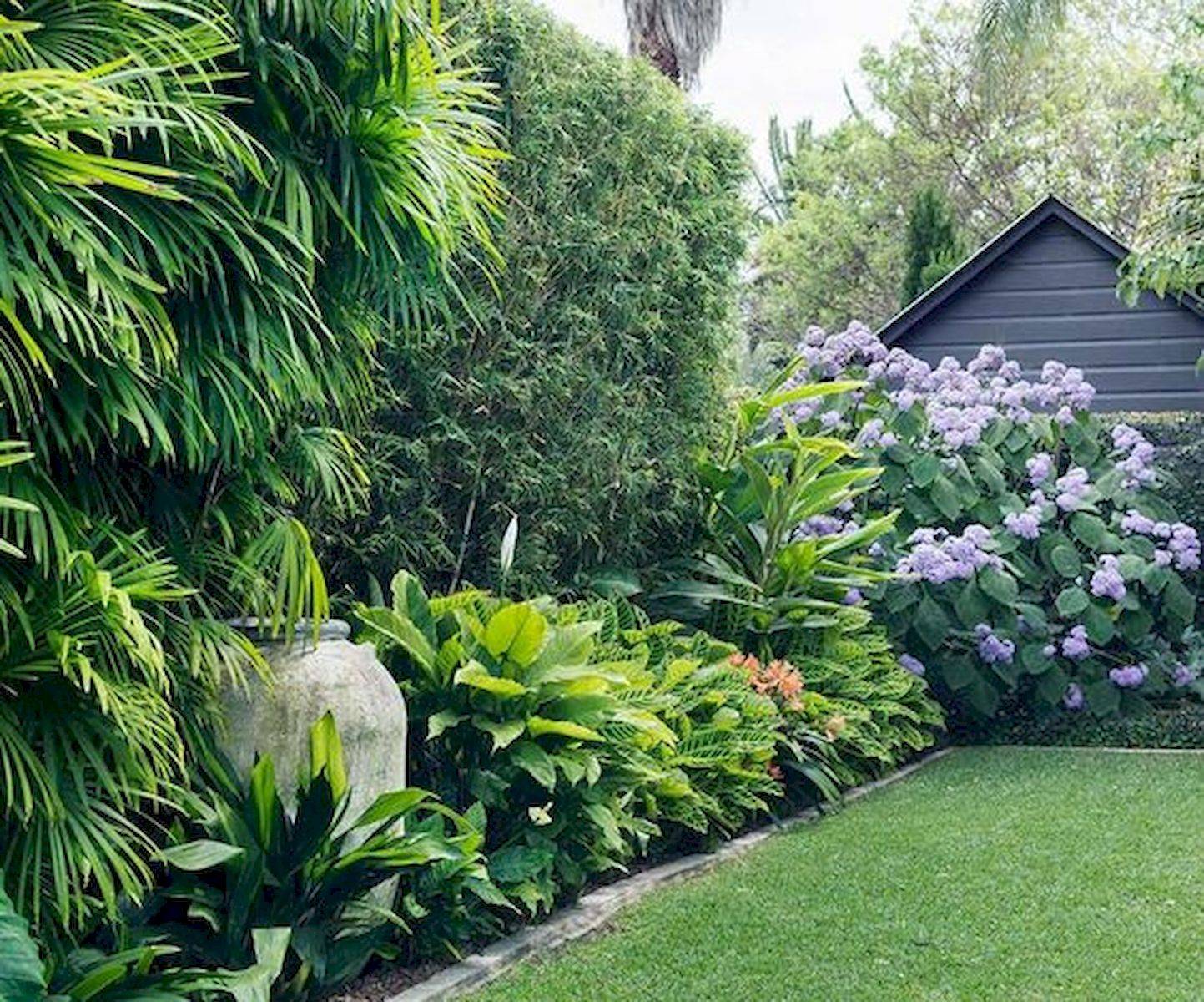 Sub Fresh Tropical Ideas Garden Calming