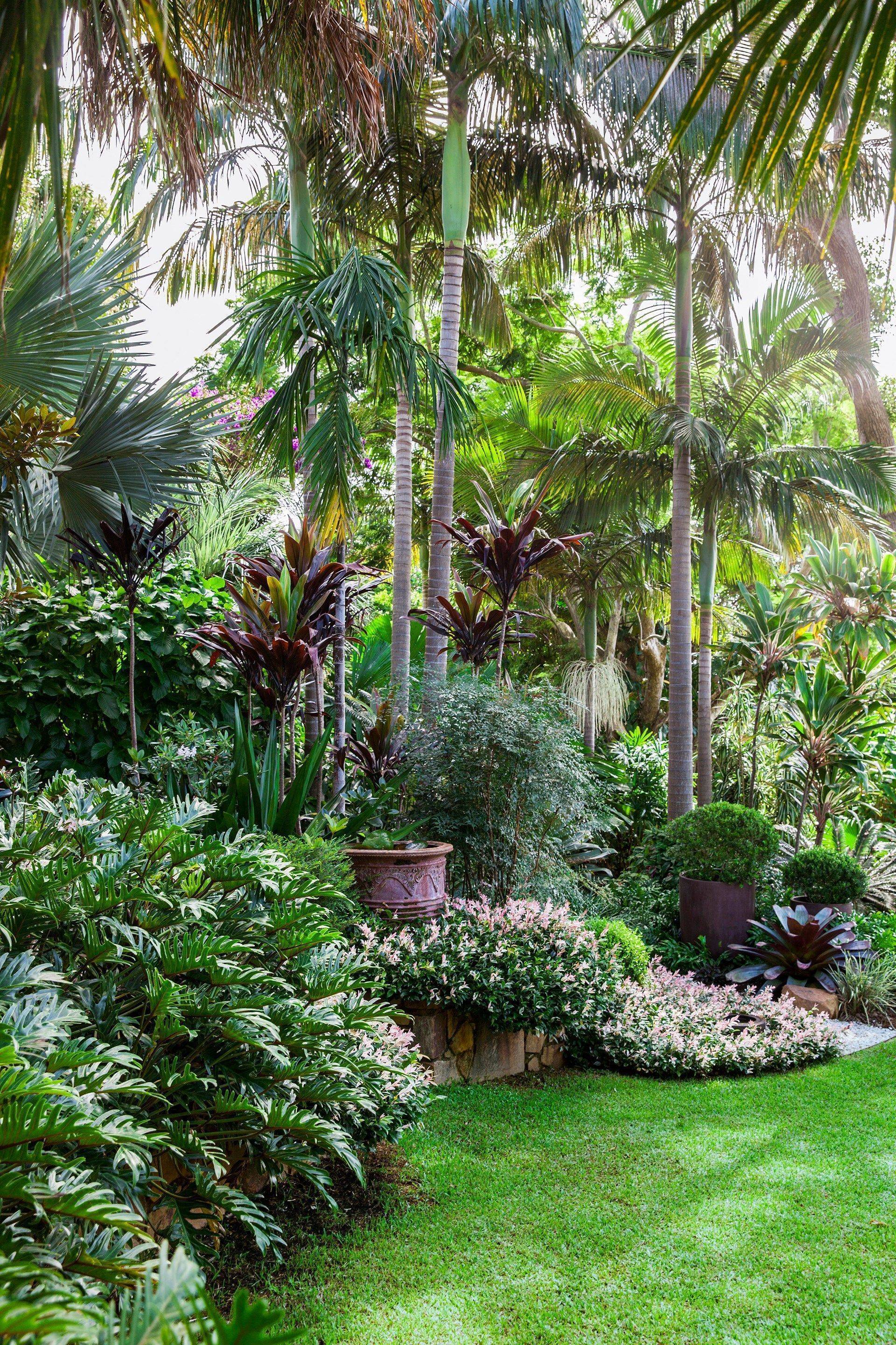 Tropical Flower Garden Design Ideas