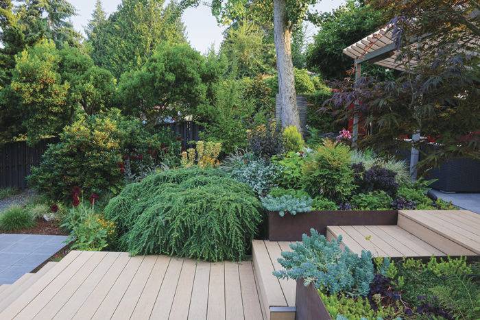 A Lush Modern Garden Design Finegardening