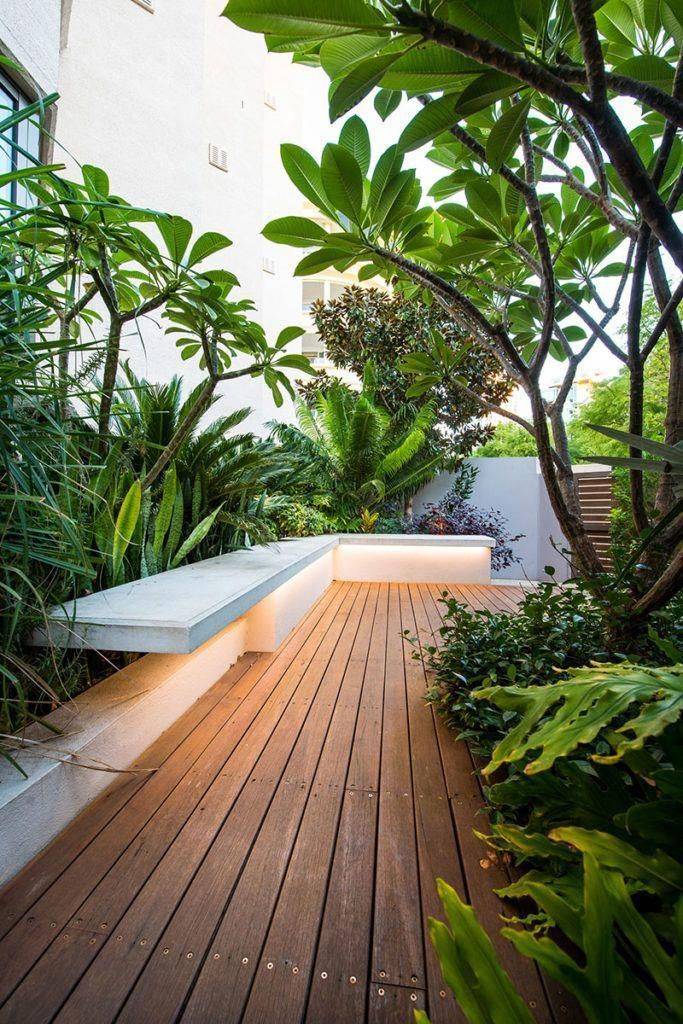 A Modern Tropical Garden