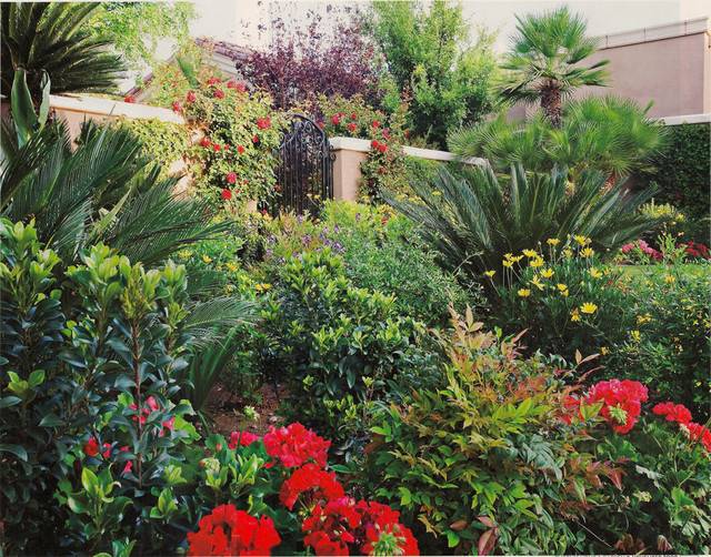 Lush Landscape Design Ideas