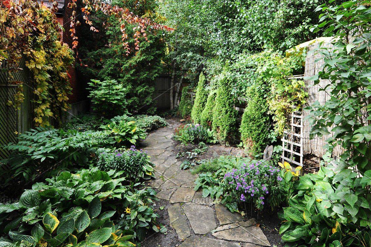 Lush Private Gardens Tropical Garden Phoenix By Trademark