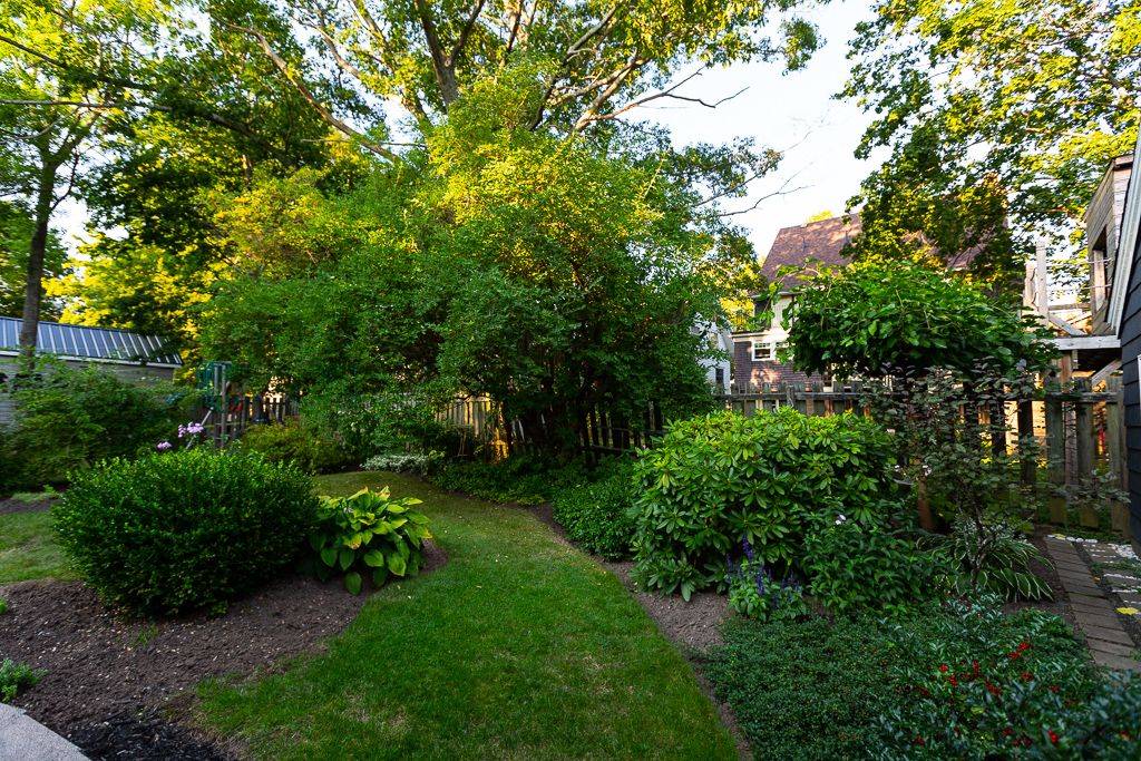 Lush Private Gardens Tropical Garden Phoenix By Trademark