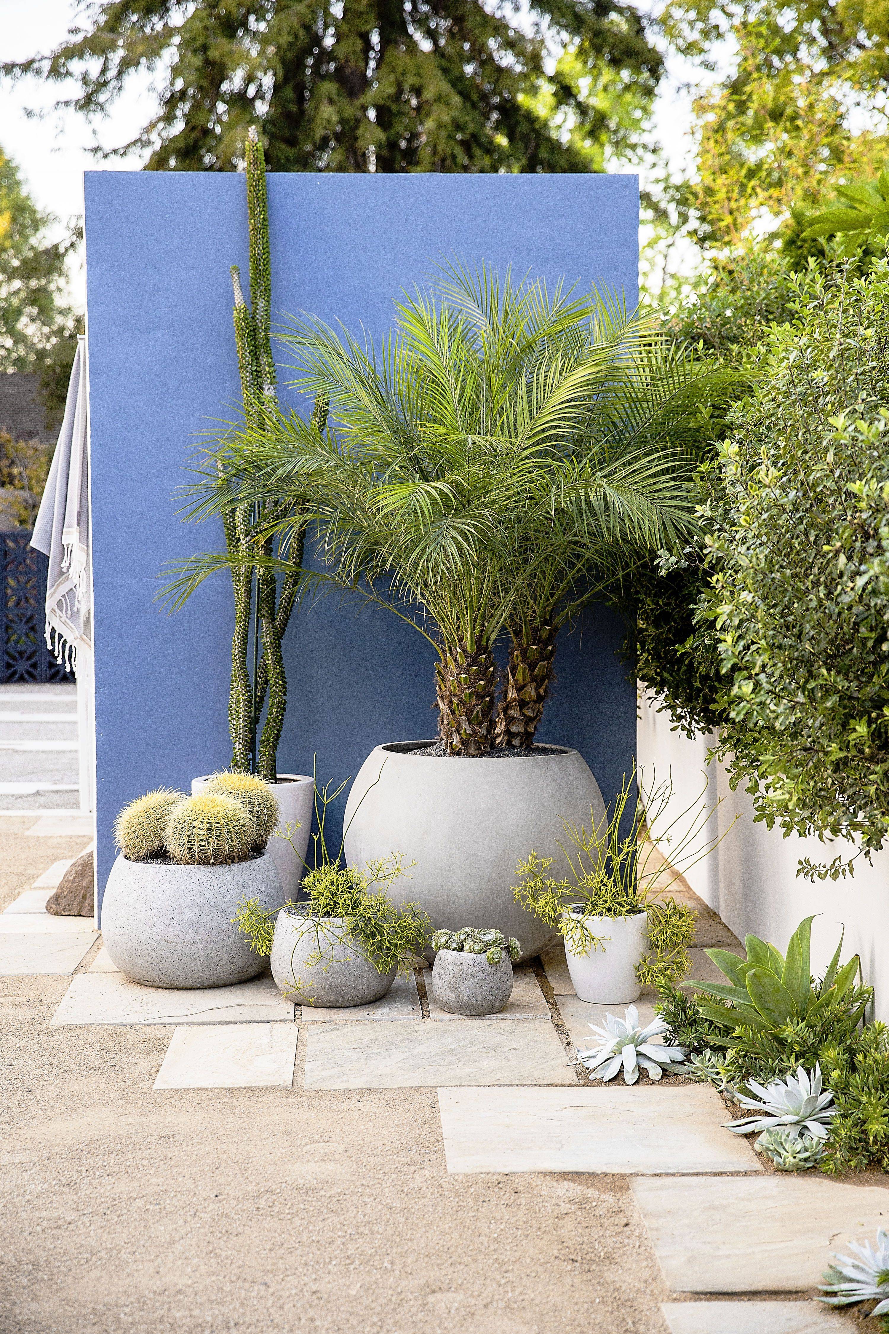 Beautiful Vegetable Garden Kitchens Vegetable