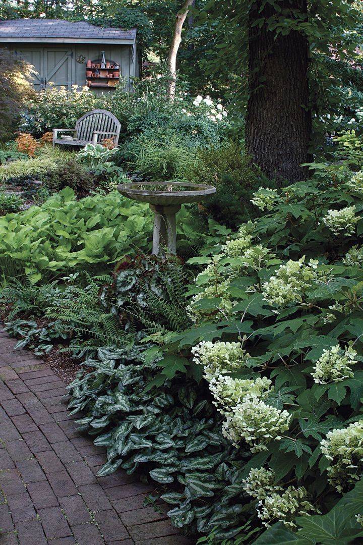 A Successful Backyard Vegetable Garden