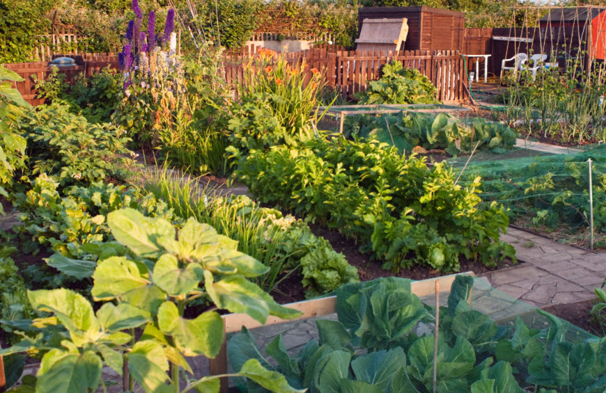 Christopher Greigs Most Perfect Vegetable Garden