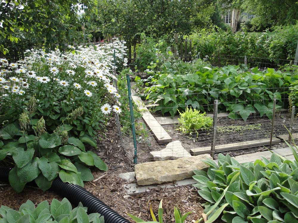 17 Lush Vegetable Garden Ideas You Must Look SharonSable