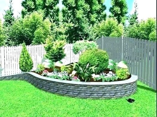 A Lush Thriving Garden