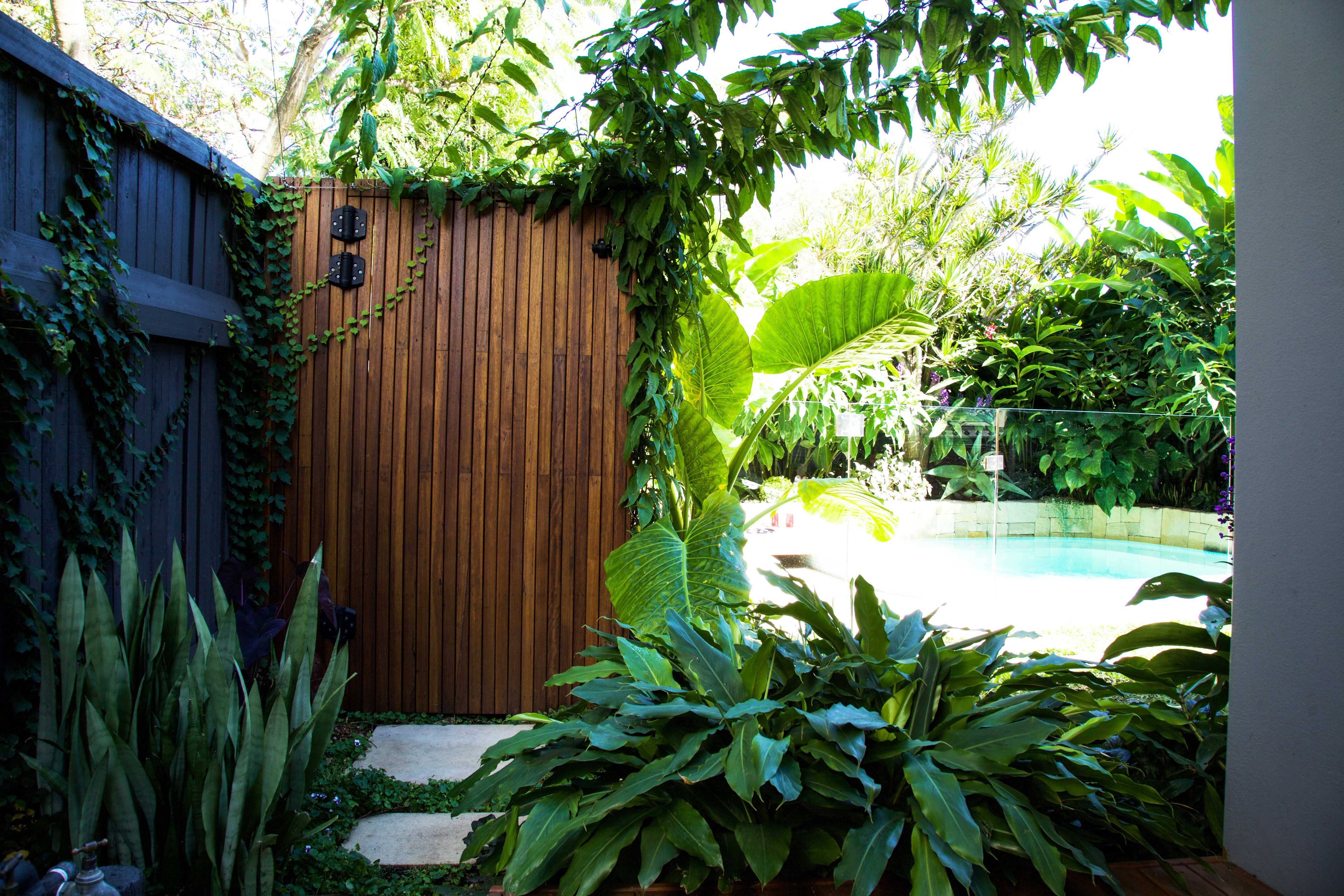 Greg And Nickis Lush Tropical Courtyard Small Tropical Gardens