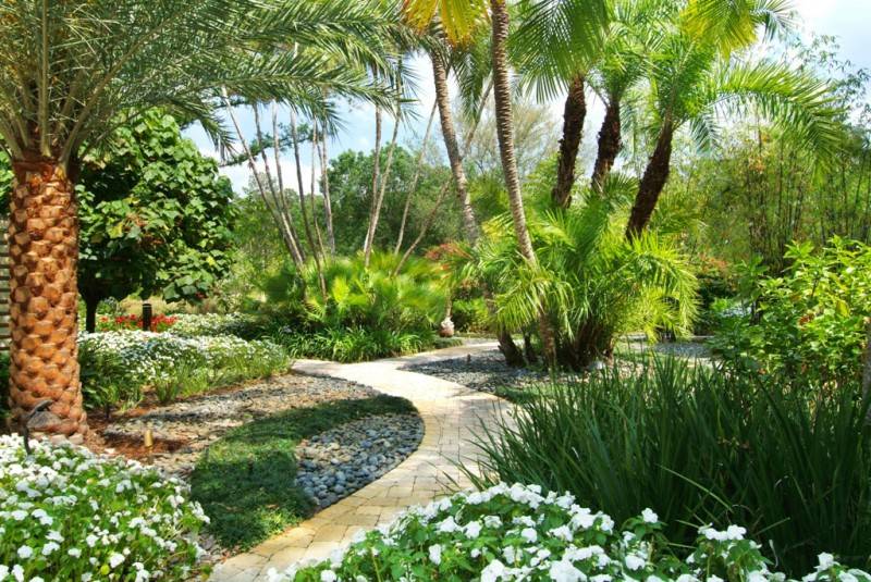 Wow What A Lush Landscape I Love It Florida Landscaping Tampa