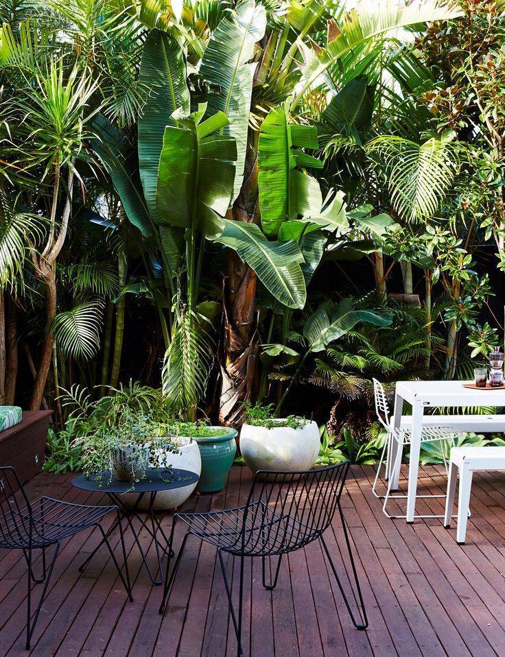 The Lush Tropical Garden