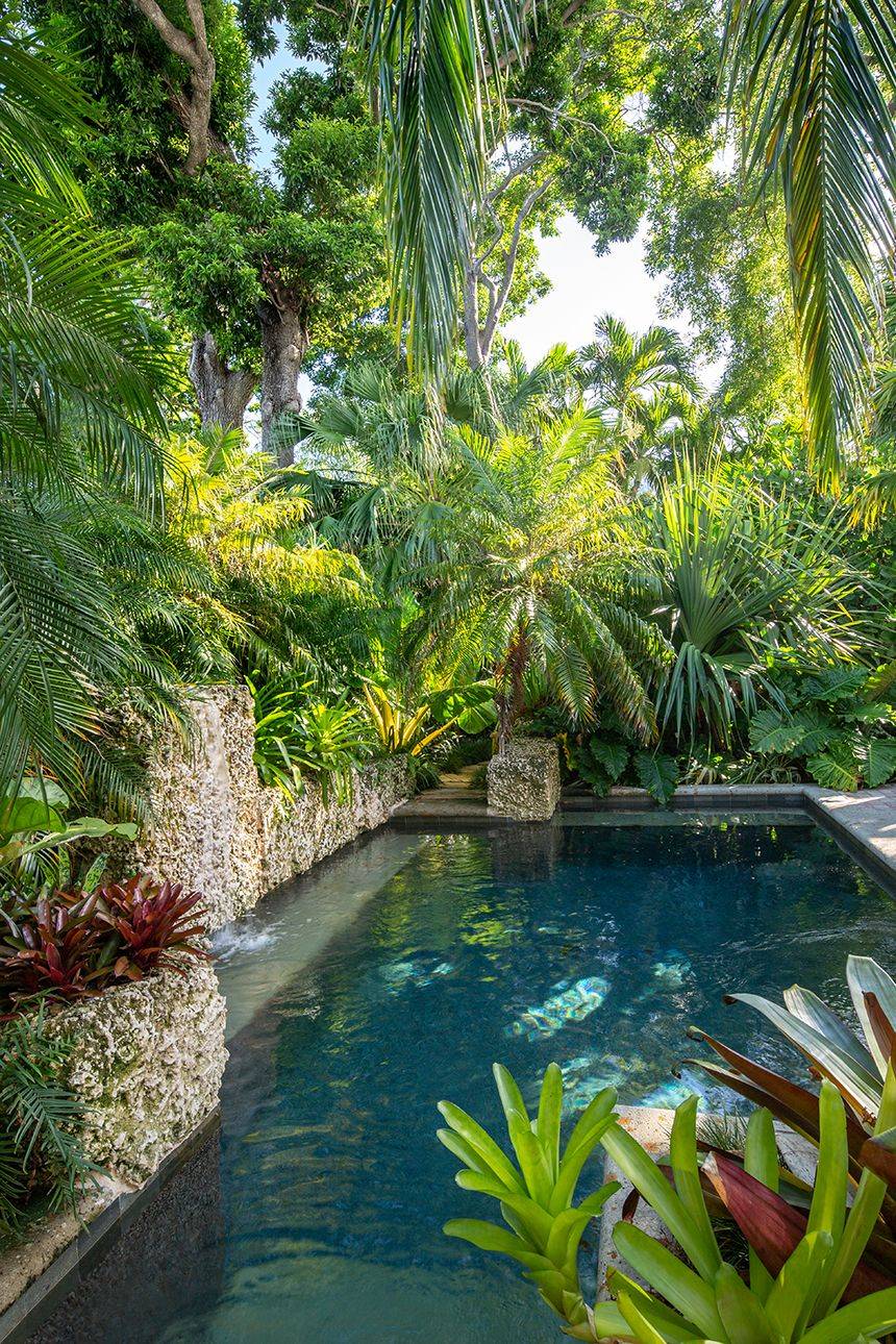 Full And Lush Tropical Entry Tropical Garden