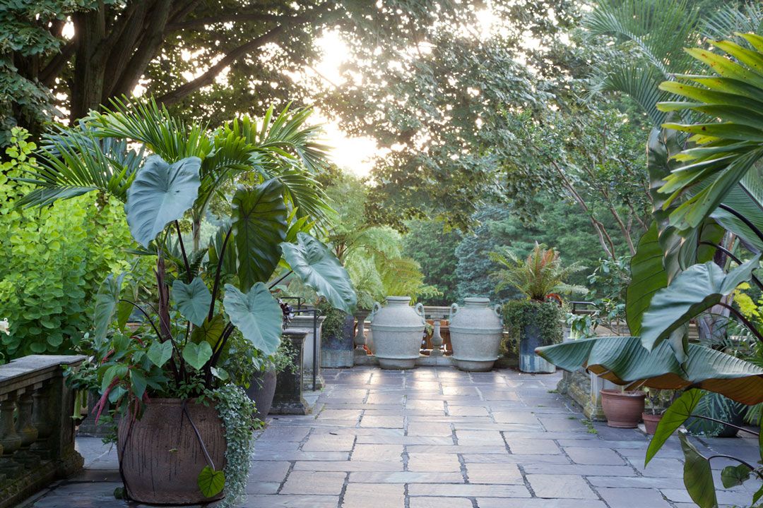 The Tropics Garden Design