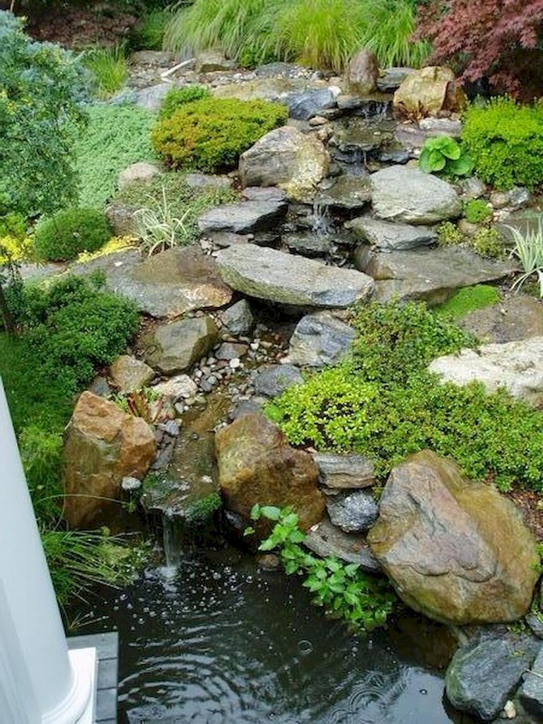 The Garden