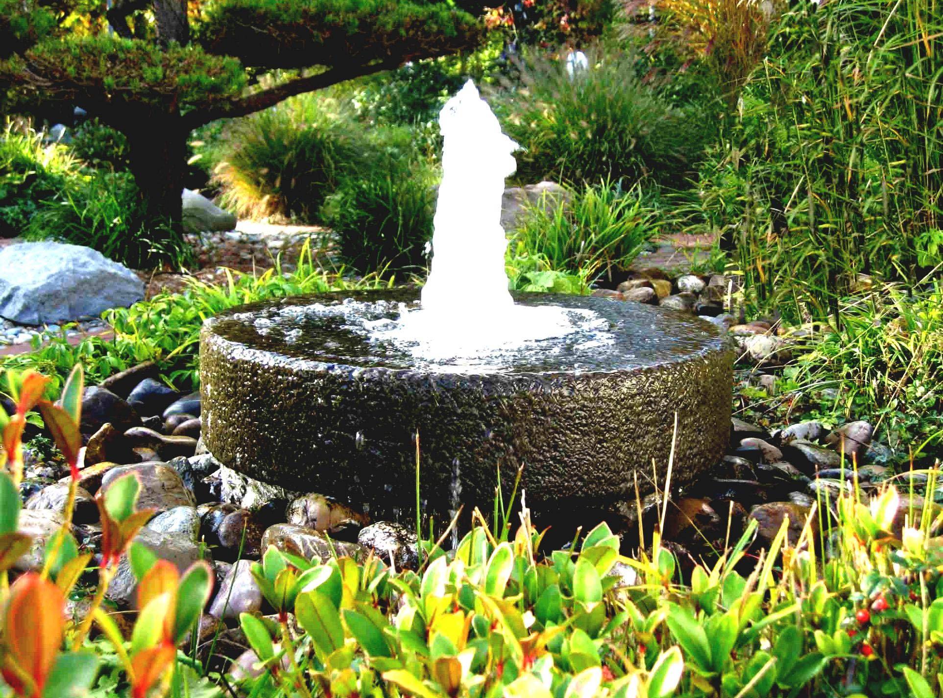 Cheap But Charming Water Garden Ideas