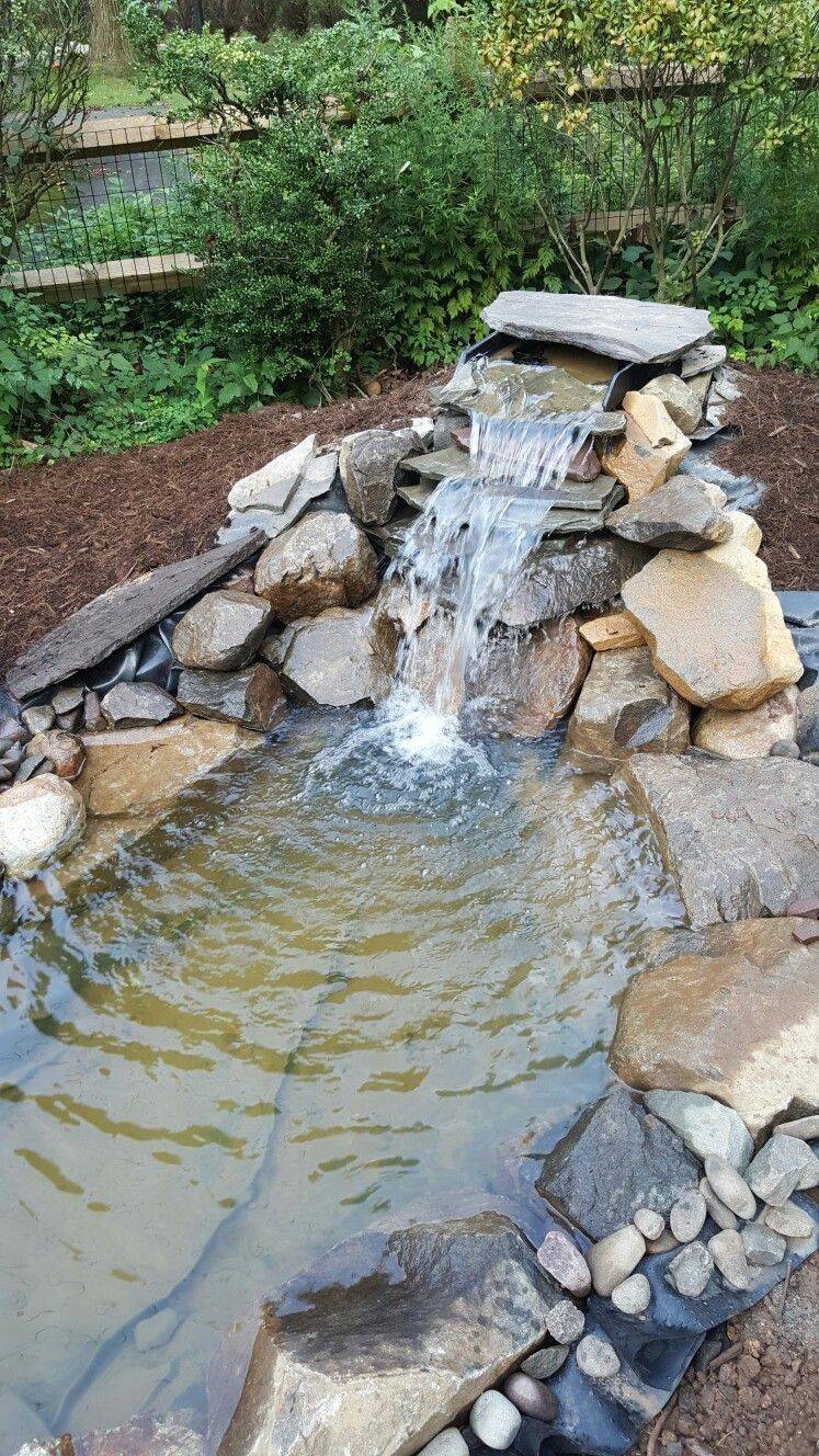 Cheap But Charming Water Garden Ideas