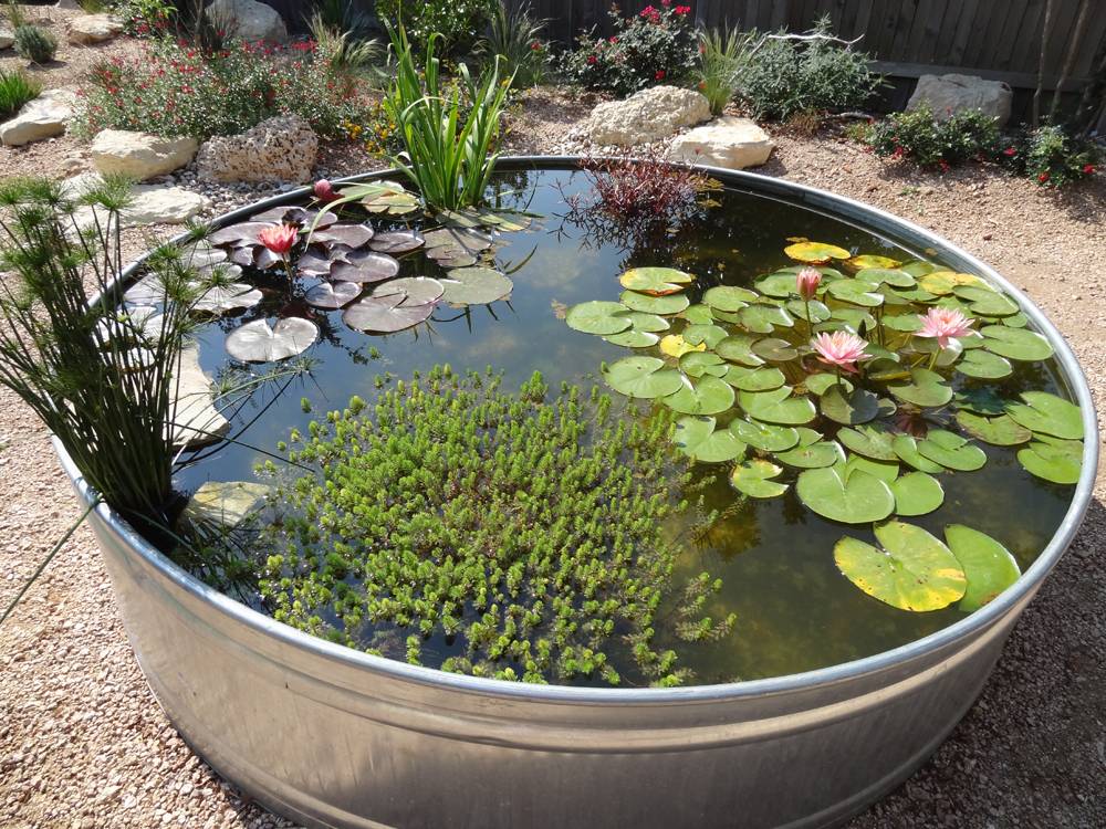 Nice Diy Mini Ponds In A Pot Httpsgardenmagzcomdiymini