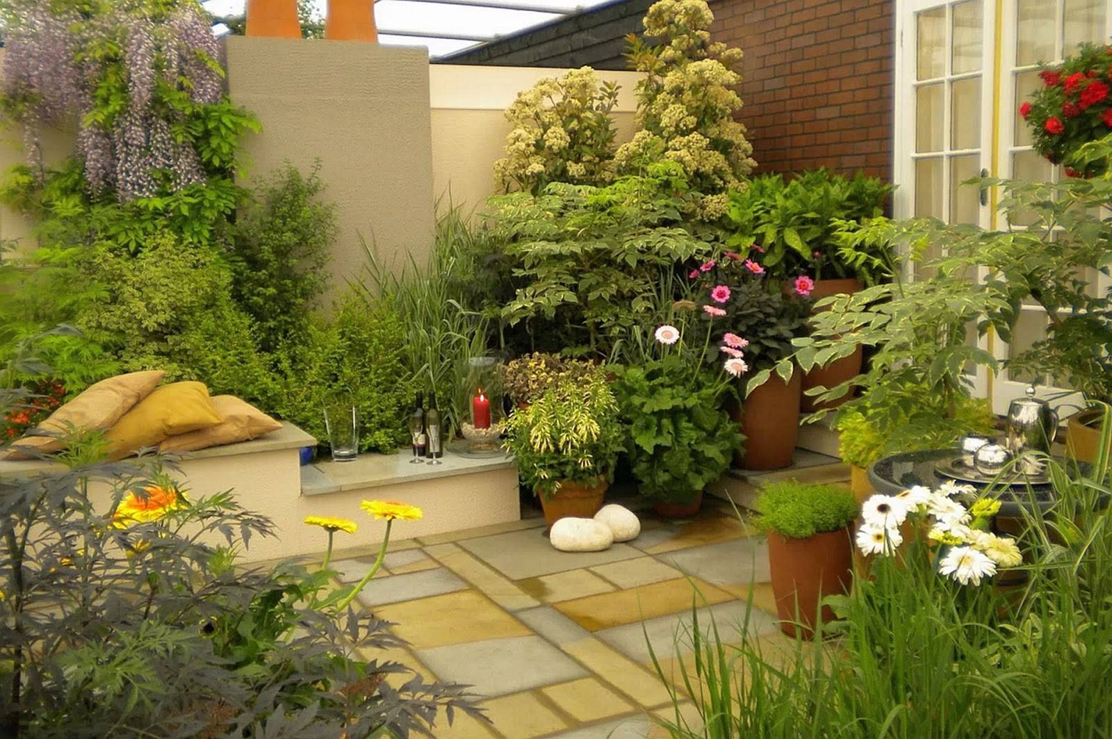 Best Minimalist Garden Design Ideas Images Large Backyard