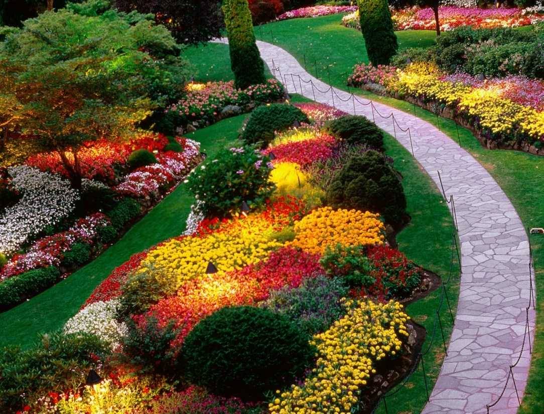 Flower Garden Layout Design Ideas