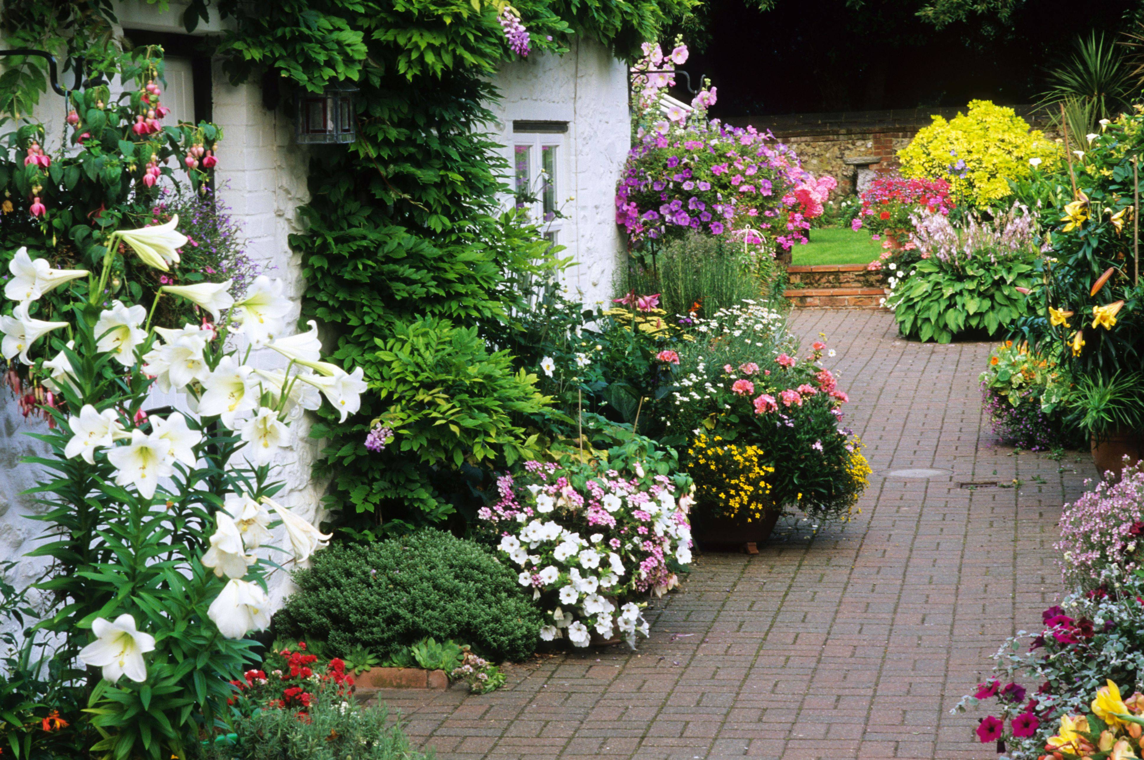 Shade Landscape Patio Small Flower Garden Design Designs Fascinating
