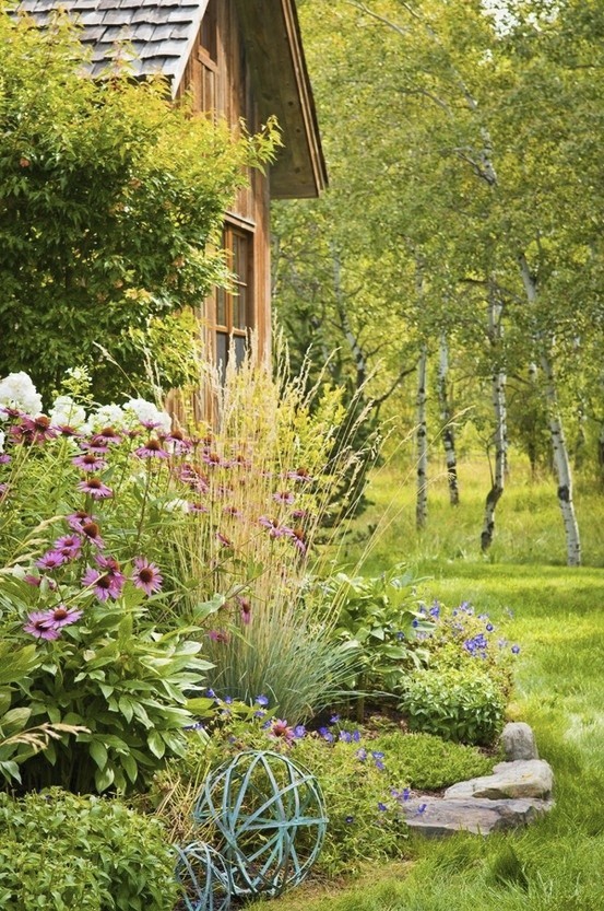 A Wild Informal Garden Finegardening Garden