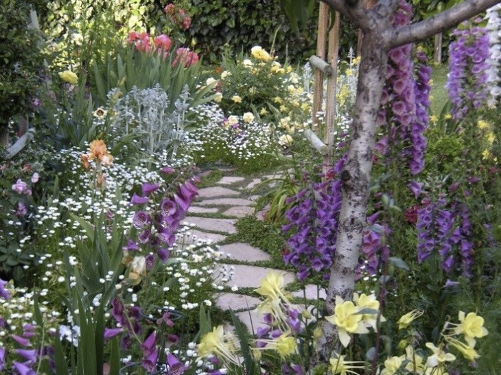 A Wild Informal Garden Finegardening