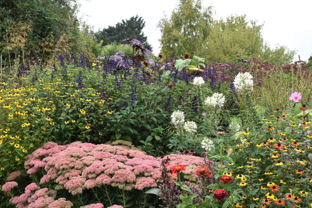 Large Informal Family Garden Farmhouse Landscape Other By Lisa