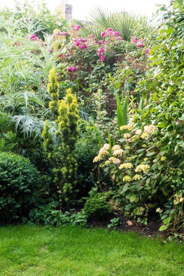 Simple Plant Combinations