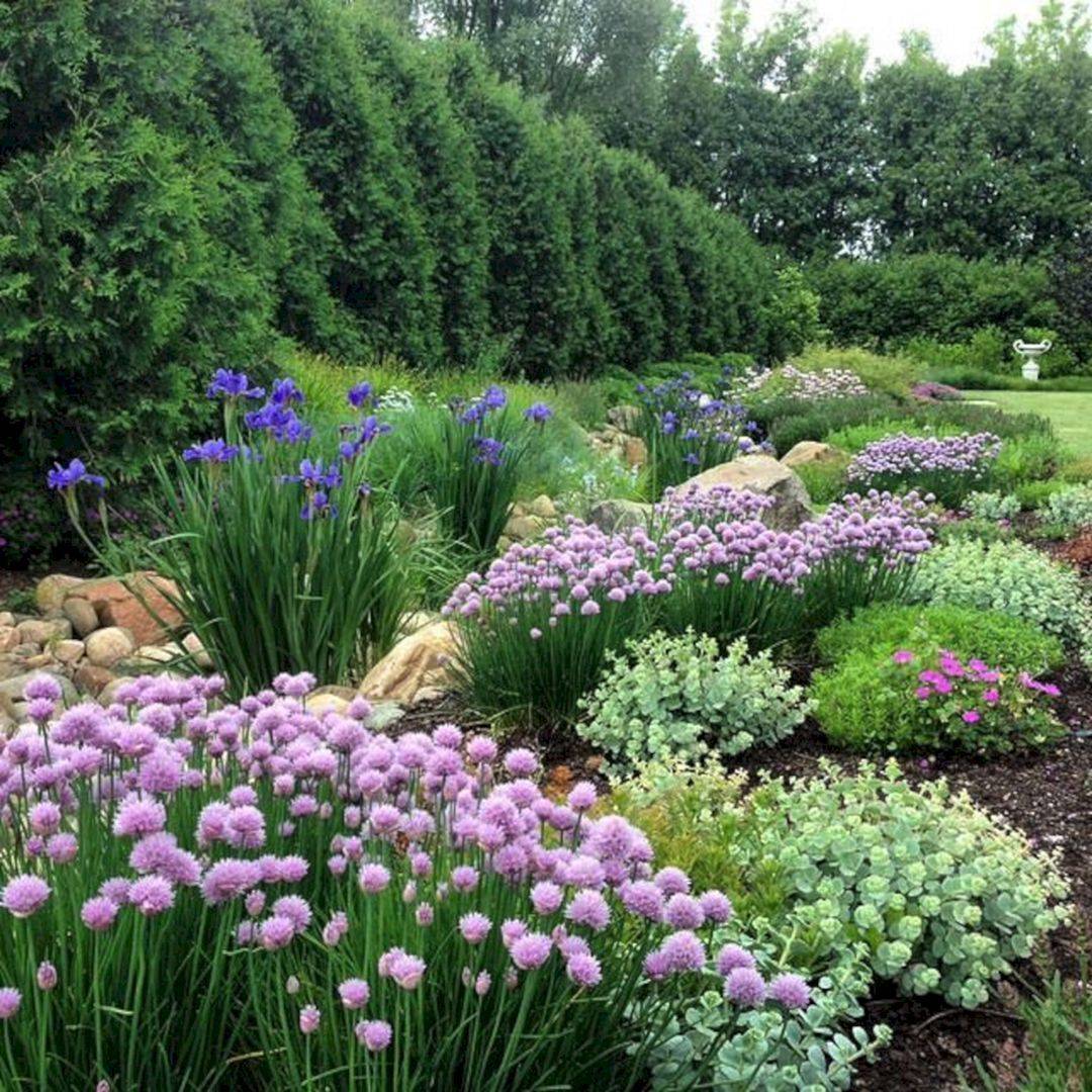 Cottage Garden Borders