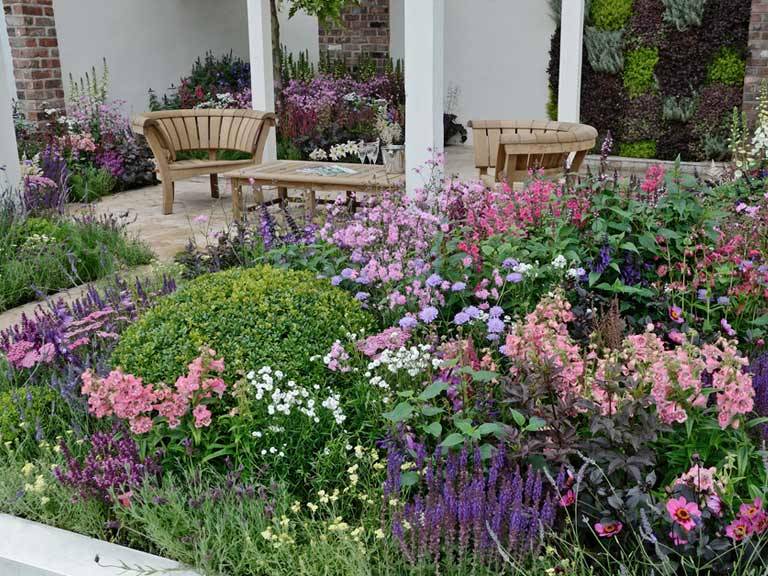 Easy Climbing Plant Ideas