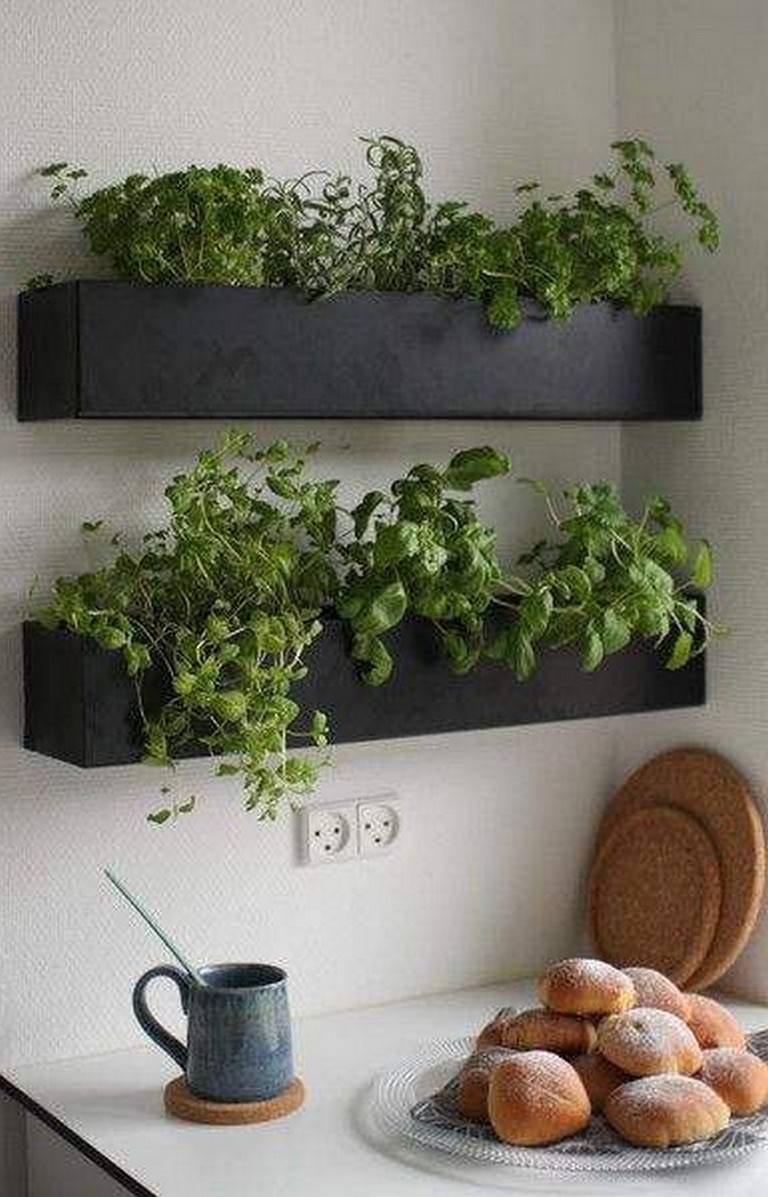 Indoor Garden Ideas