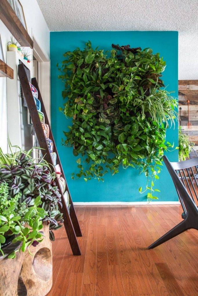 Best Indoor Garden Ideas