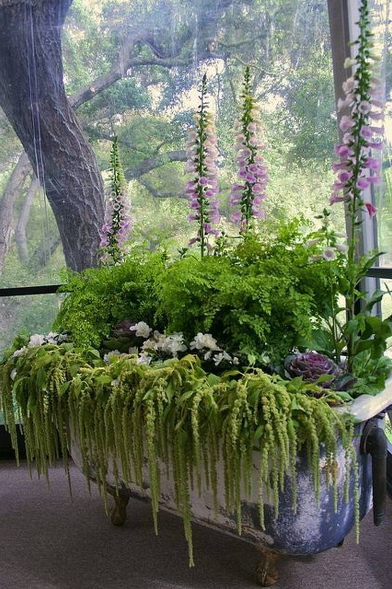 Best Indoor Garden Ideas