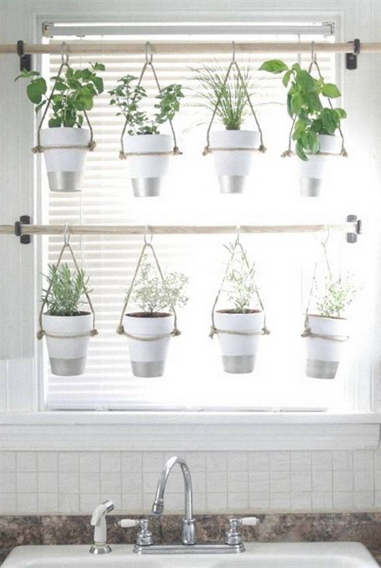 Best Indoor Garden Ideas