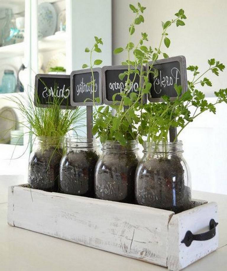 Indoor Garden Ideas