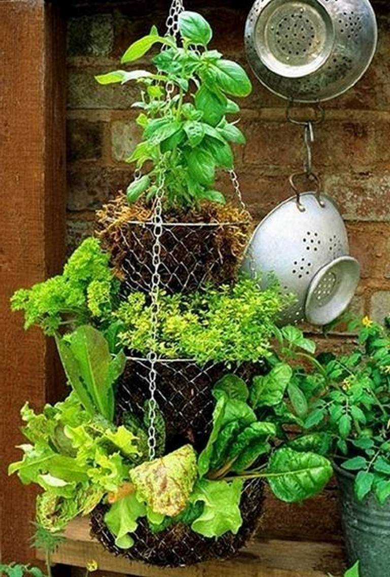 Inspiring Vertical Garden Ideas