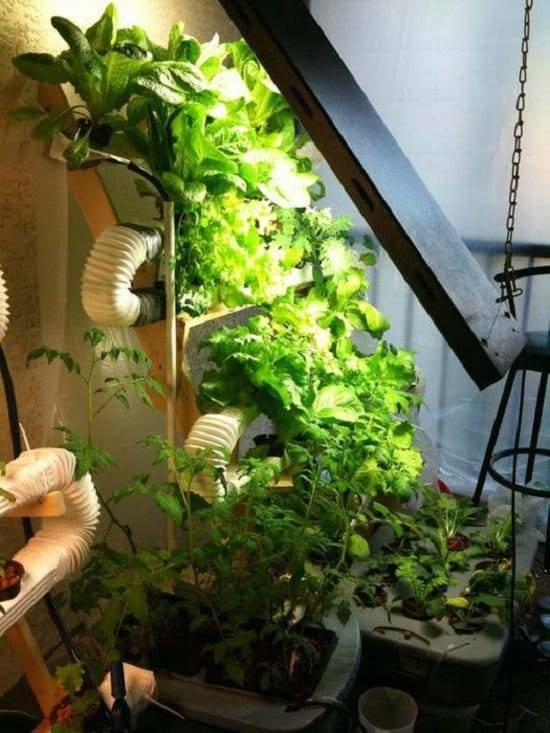 Vertical Hydroponic Ideas You Should Try At Home