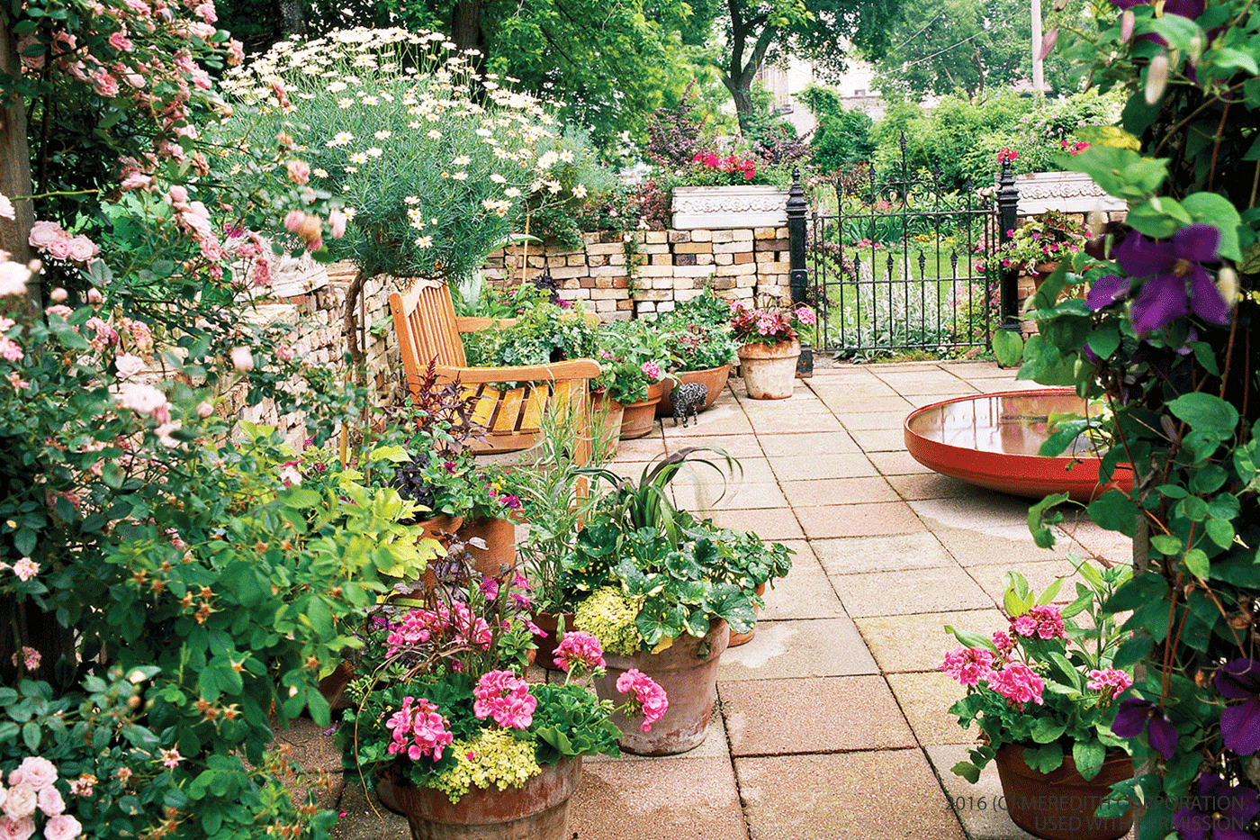 A Small Garden Space