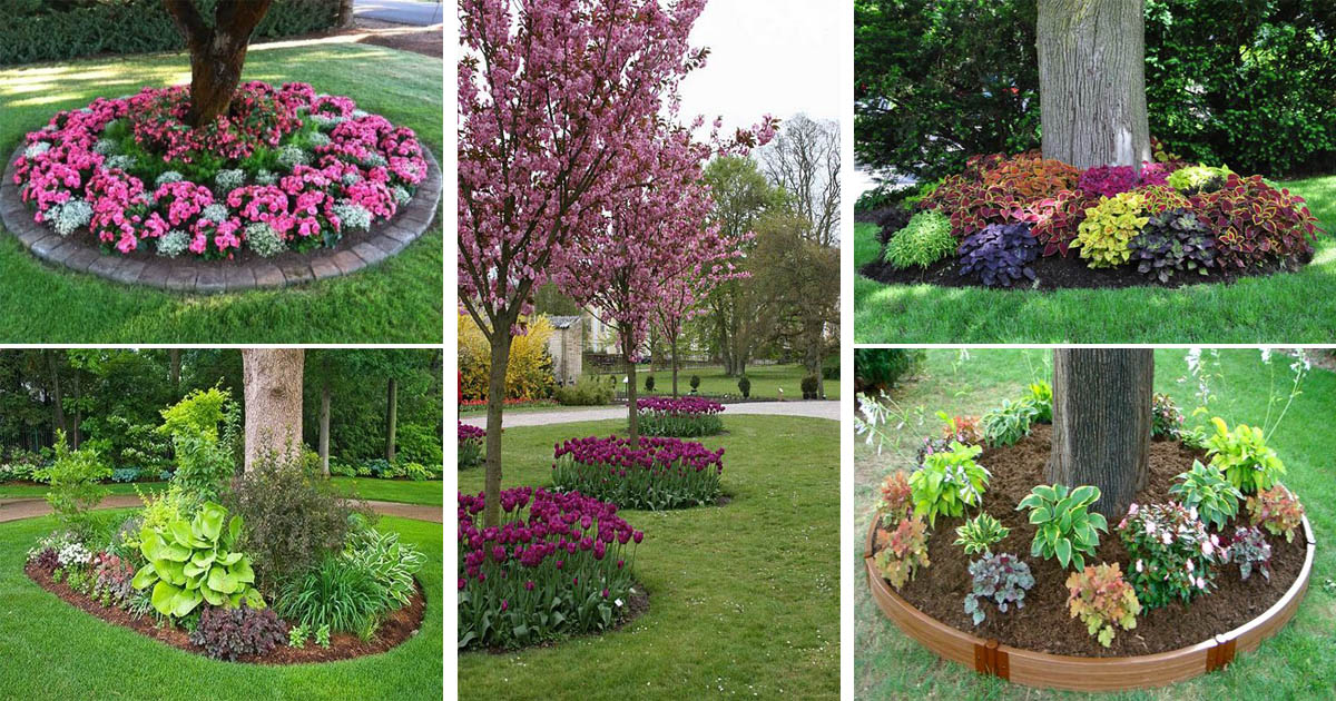 Beautiful Flower Beds